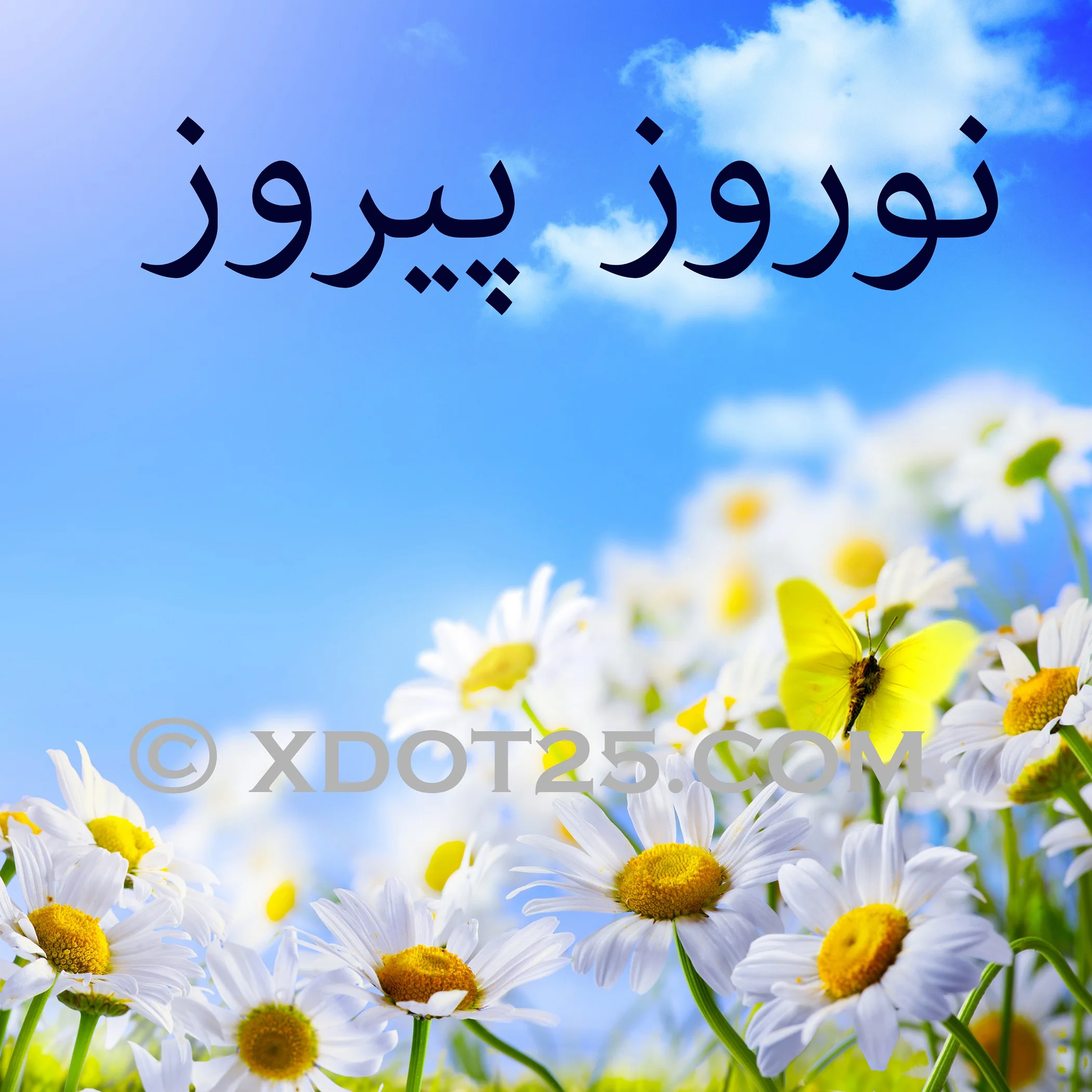 Norooz — Celebrating the Persian New Year